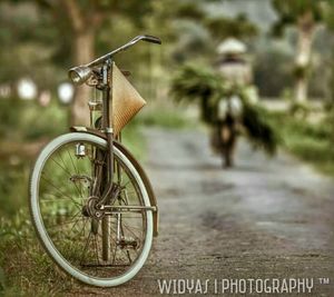 bicycle