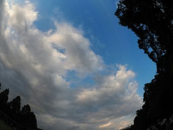 Low angle view of trees against cloudy sky