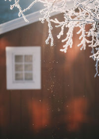 Close-up of icicles on window of house during winter