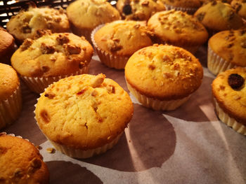 High angle view of cookies