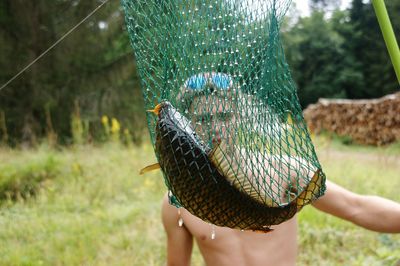 Midsection of person holding bird