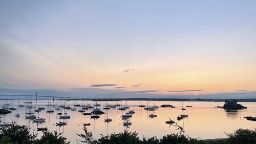 Boats in marina at sunset
