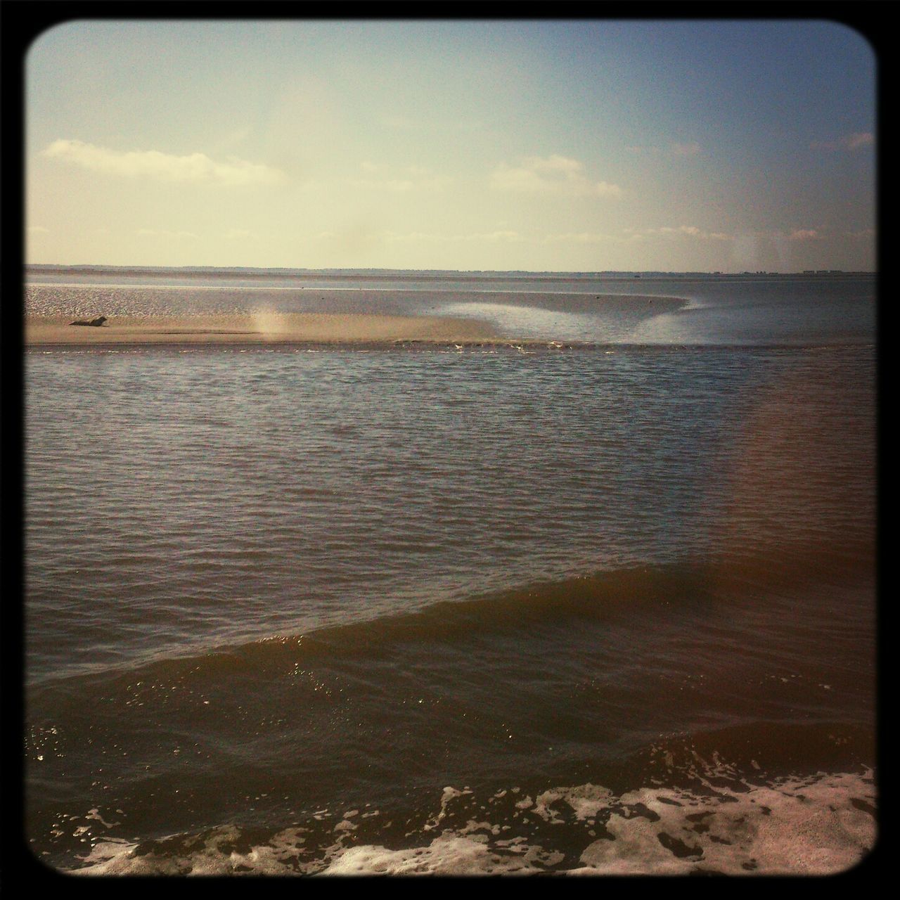 Veerboot Schiermonnikoog - Lauwersoog