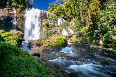 Scenic view of waterfall in forest