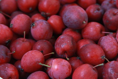 Small red apples