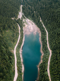 High angle view of water flowing in forest