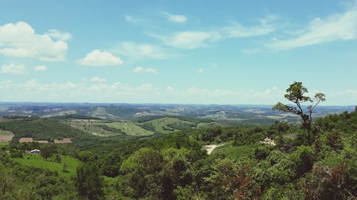 Scenic view of landscape against sky