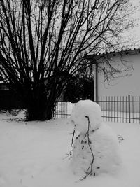 Snow covered bare tree against sky