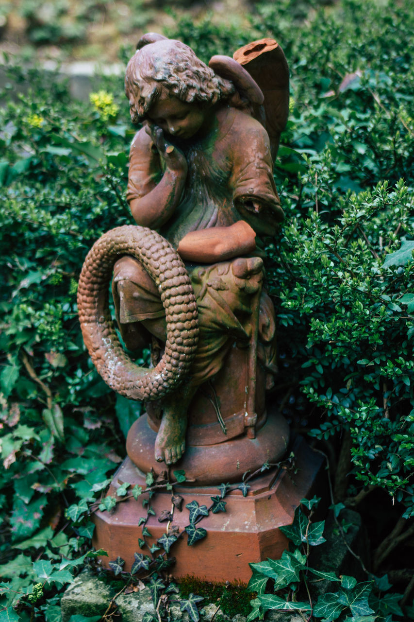 CLOSE-UP OF STATUE AGAINST PLANTS