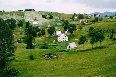 Houses on field