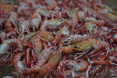 Full frame shot of shrimps for sale in market