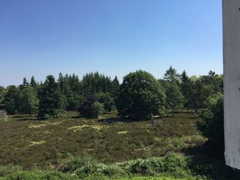 Scenic view of grassy field against blue sky