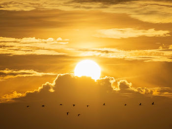 Scenic view of sunset and crane