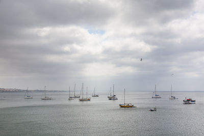 Sailboats in sea against sky