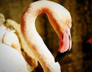 Close-up of white background