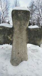 Close-up of bare tree in winter