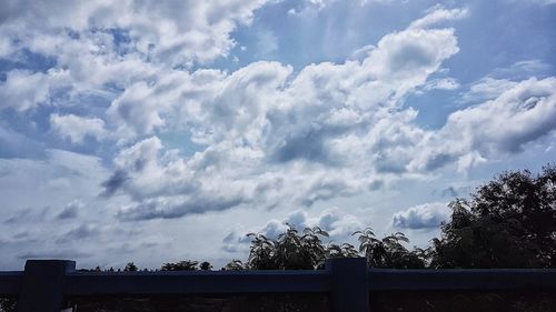 Low angle view of trees against sky