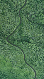 High angle view of leaf on field