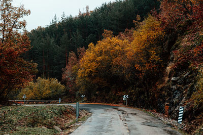 Road amidst trees during autumn