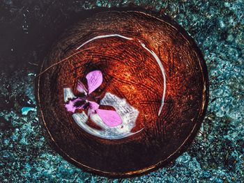 High angle view of ice cream in bowl