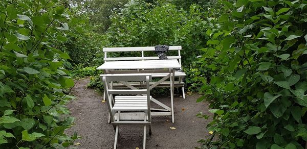 High angle view of empty bench against trees