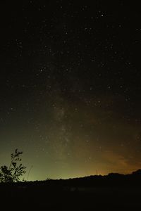 Low angle view of silhouette trees against star field at night