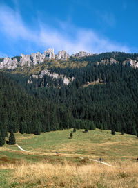 Panoramic view of landscape against sky