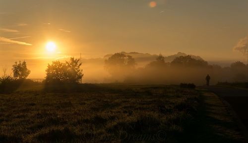 Scenic view of field against sky during sunset