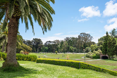 Scenic view of park during sunny day