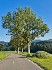 Beautiful roads in the black forest