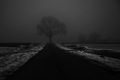 Single tree on field against clear sky