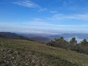 Scenic view of field against blue sky