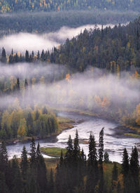 Scenic view of lake in forest