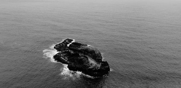 High angle view of crab on shore