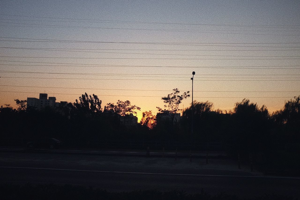 SILHOUETTE TREES AGAINST SKY DURING SUNSET