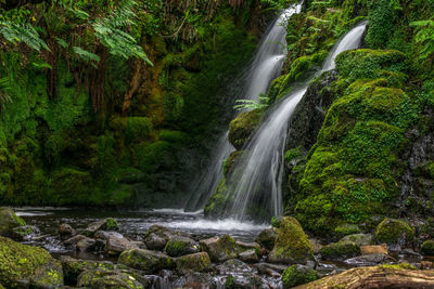 Scenic view of waterfall in forest