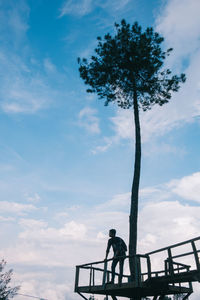 Low angle view of tree against sky