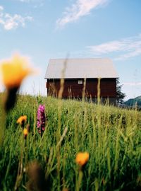 Nature house and sky