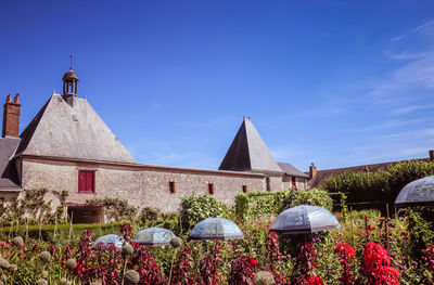 Plants in garden by church against blue sky