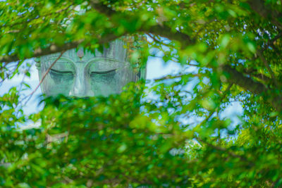 Low angle view of statue against trees