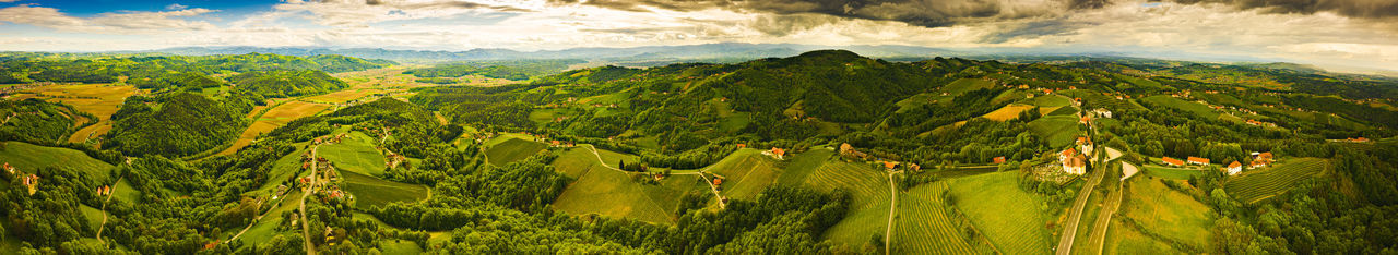 Austria vineyards landscape. leibnitz area in south styria, wine country. tuscany like place 