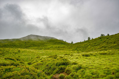 Scenic view of landscape against sky