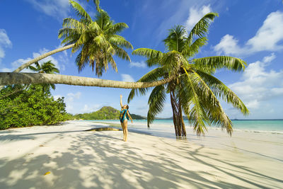 Palm trees on beach against sky