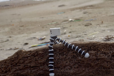 Xiaomi yi who is recording a timelapse on the beach. december 25 2020