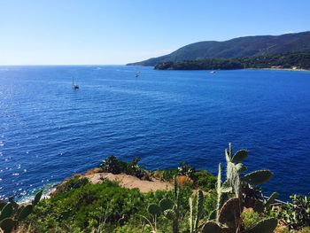 Scenic view of sea against clear sky