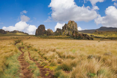 High altitude moorland against rock formations at mount satima dragons teeth in the aberdares, kenya