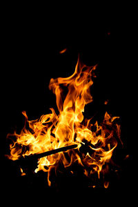 Close-up of bonfire at night