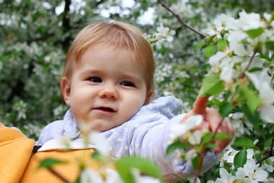 Candid portrait of cute caucasian little baby girl with blooming apple trees in springtime. 