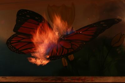 arts culture and entertainment