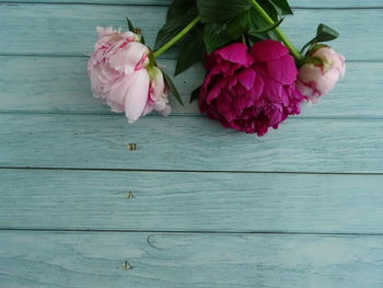 Directly above shot of pink rose on table